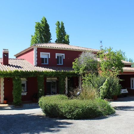 Los Picachos 10 Ronda Exterior photo