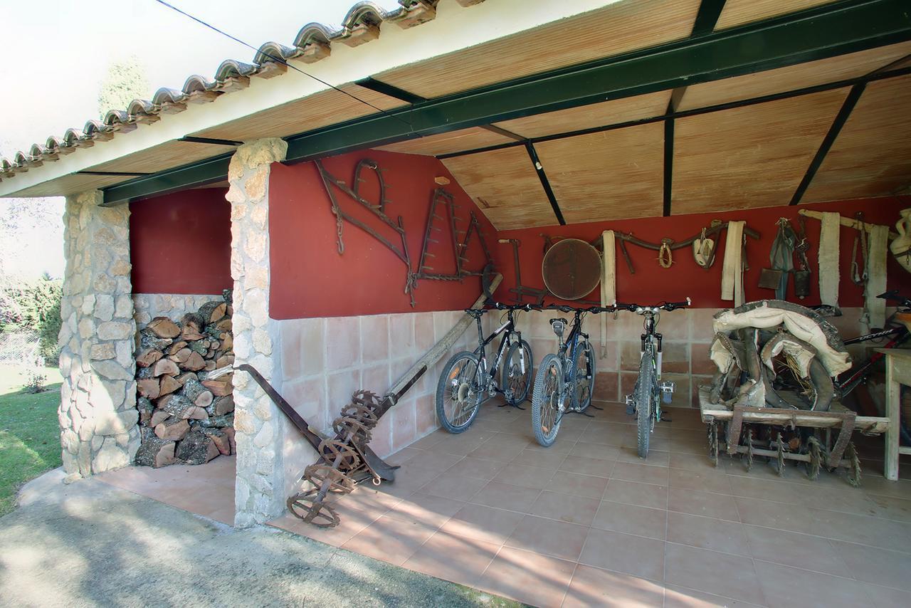 Los Picachos 10 Ronda Exterior photo