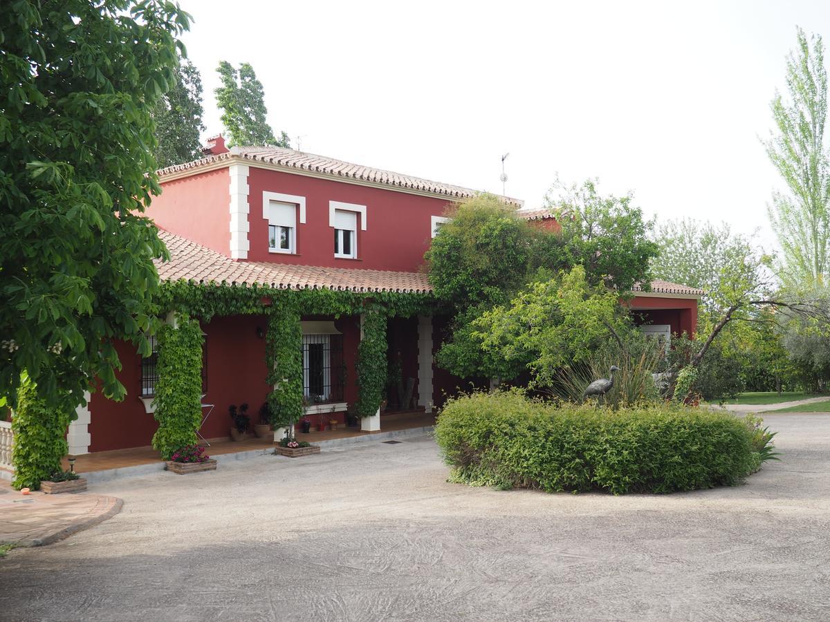 Los Picachos 10 Ronda Exterior photo